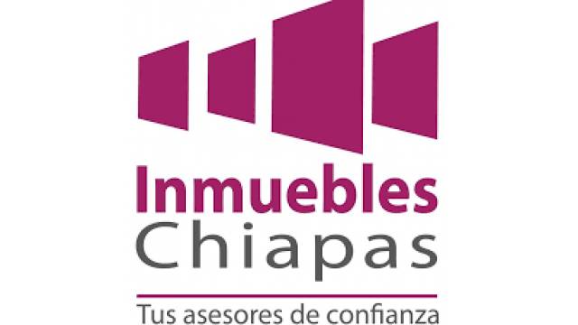 Cyntia Espinosa Henze Logo
